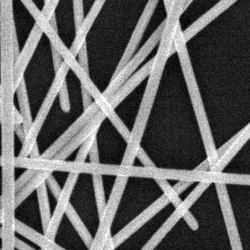 Диаметр/длина проволоки из нано серебра: 90 нм/200 мкм Изображение